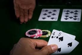 Meja permainan Ceme Online dengan pemain dan dealer di platform siapkaya88